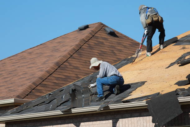 Best Sheet Metal Roofing  in Texkana, AR