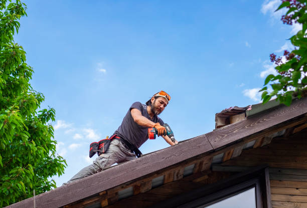 Best Roof Insulation Installation  in Texkana, AR