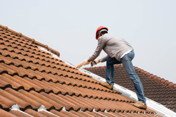 Best Roof Ventilation Installation  in Texkana, AR